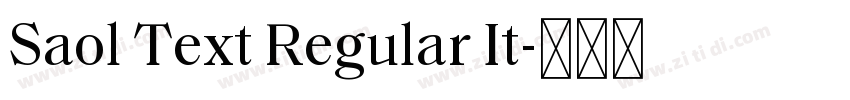 Saol Text Regular It字体转换